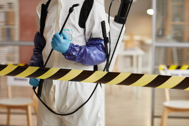 Professional Hoarding Cleanup technician working in Hampton, NJ